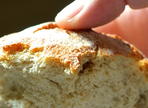 Yo soy el pan de vida