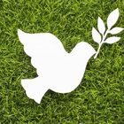 Como construir la paz desde nosotros